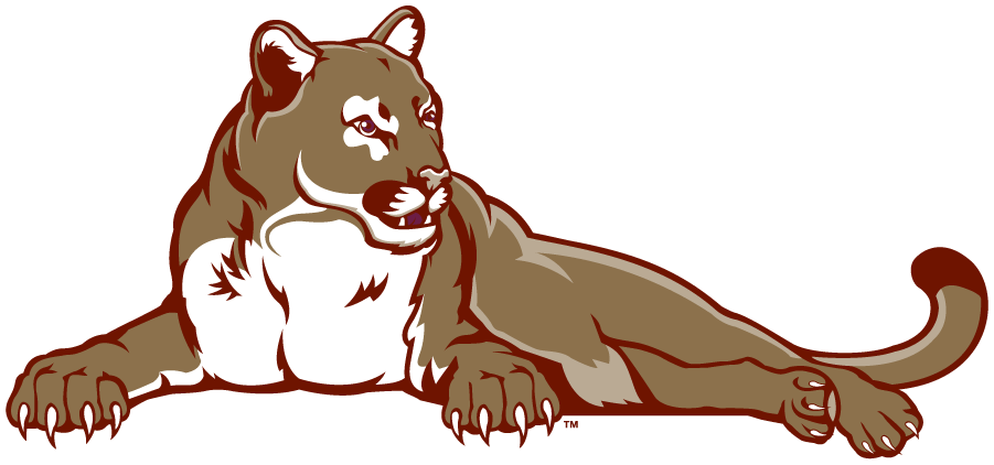 College of Charleston Cougars 2003-2008 Secondary Logo v7 diy iron on heat transfer